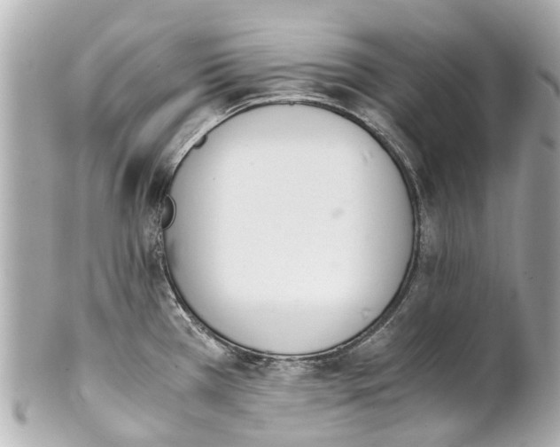 X0000101681385200807311509