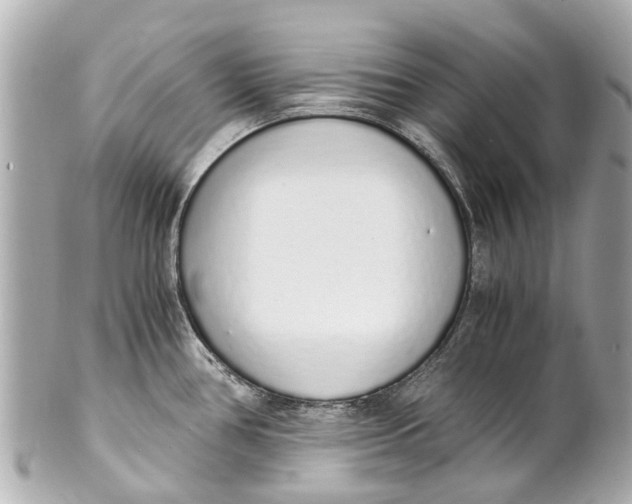 X0000101681386200807311509