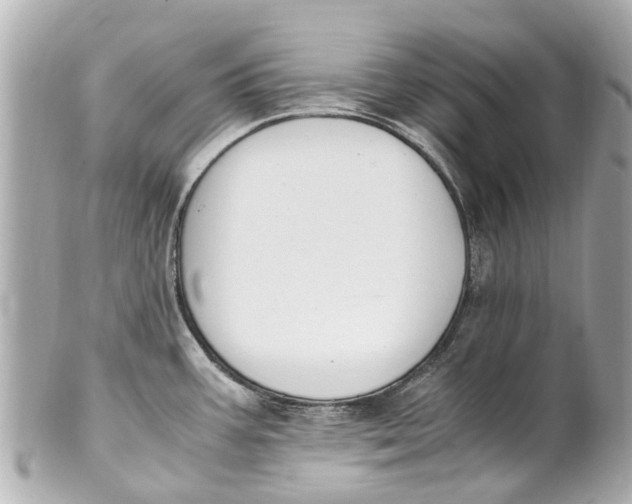 X0000101681387200807311509