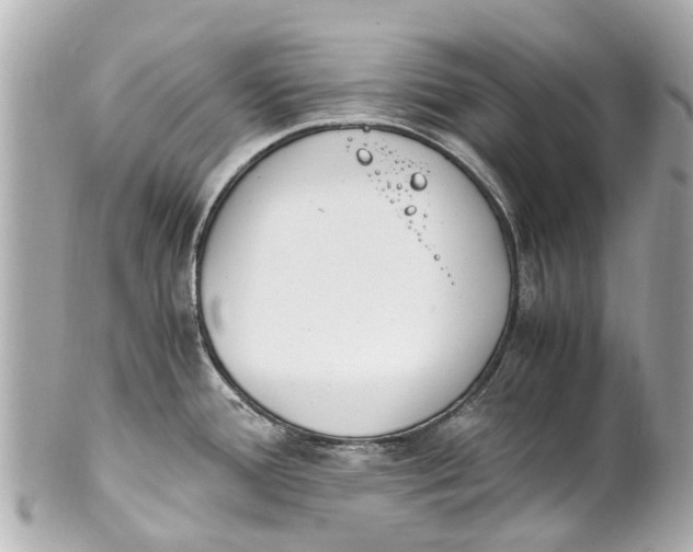 X0000101681388200807311509