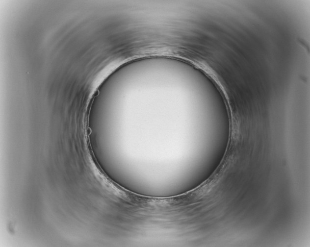 X0000101681389200807311509