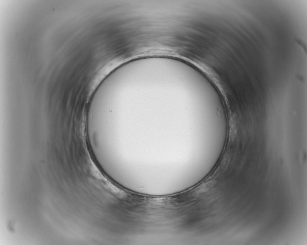 X0000101681390200807311509