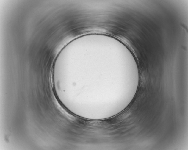 X0000101681391200807311509