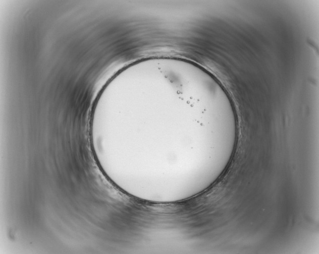 X0000101681392200807311509