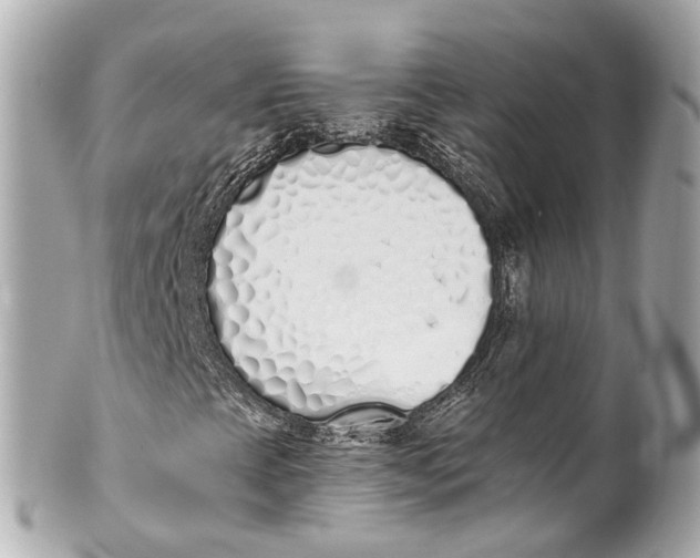 X0000101681393200807311509