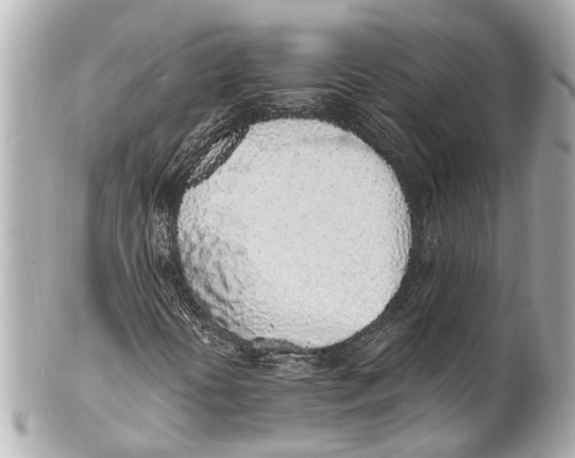 X0000101681394200807311509