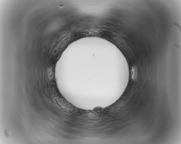 X0000101681395200807311509