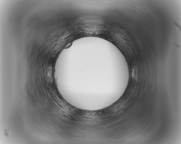 X0000101681396200807311509