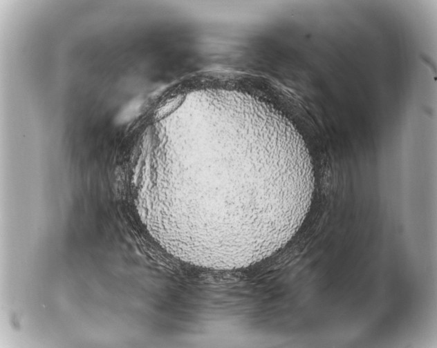 X0000101681397200807311509