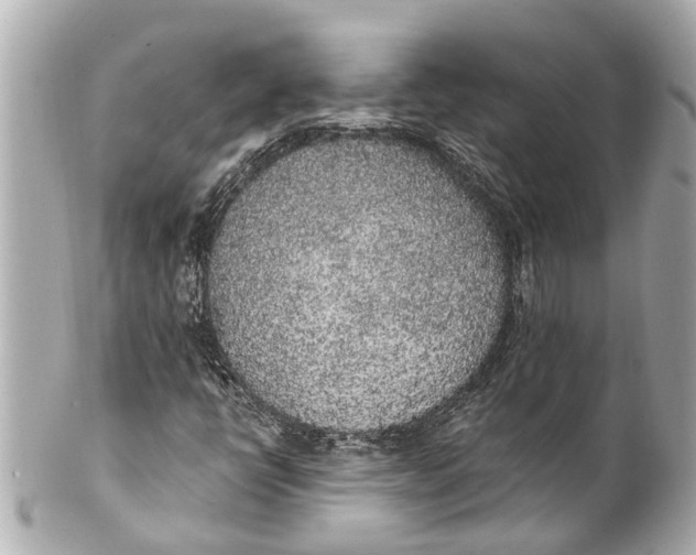 X0000101681398200807311509