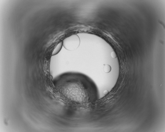 X0000101681399200807311509