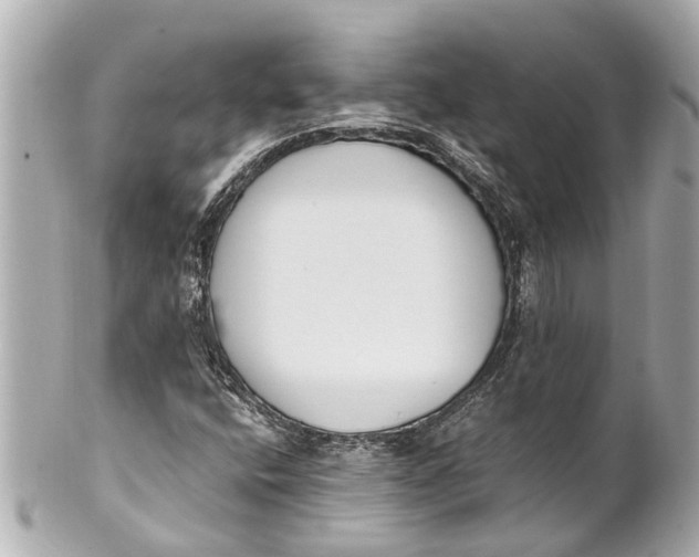 X0000101681400200807311509