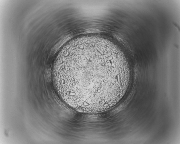 X0000101681401200807311509