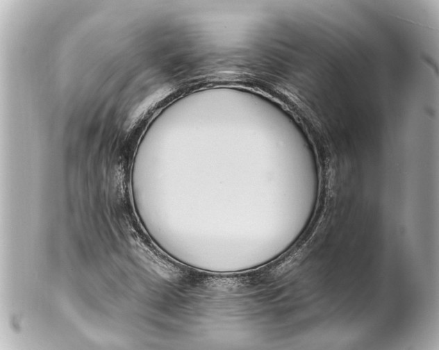 X0000101681402200807311509