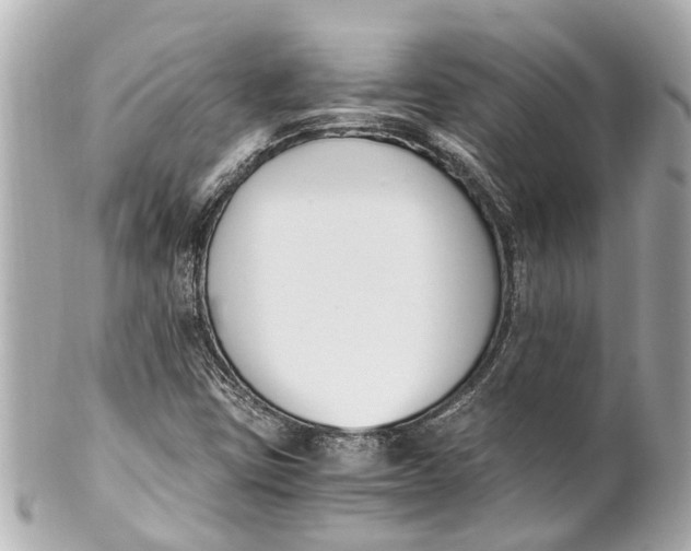 X0000101681403200807311509