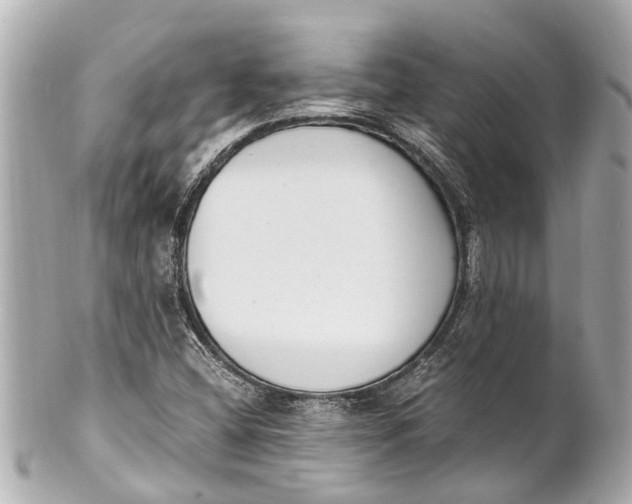 X0000101681404200807311509