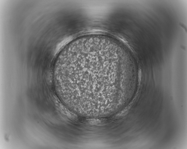 X0000101681405200807311509