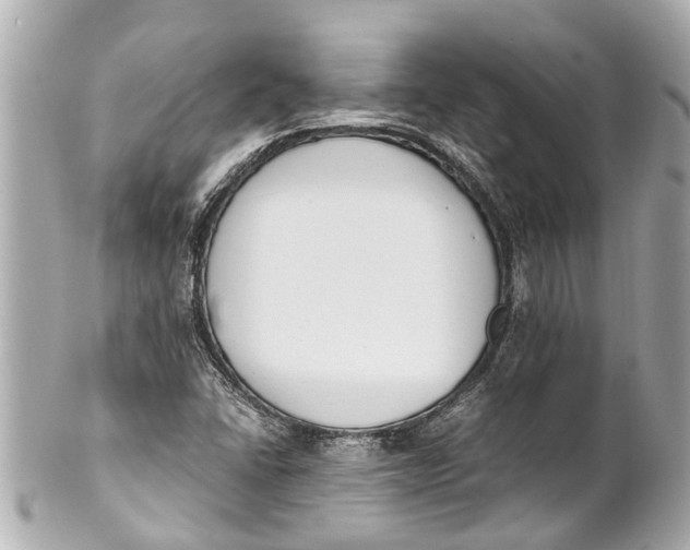 X0000101681406200807311509