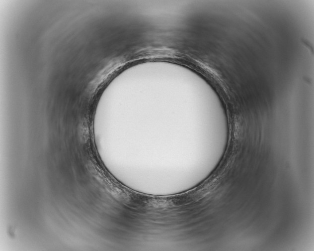 X0000101681407200807311509