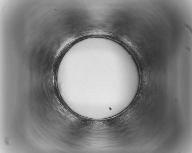 X0000101681408200807311509