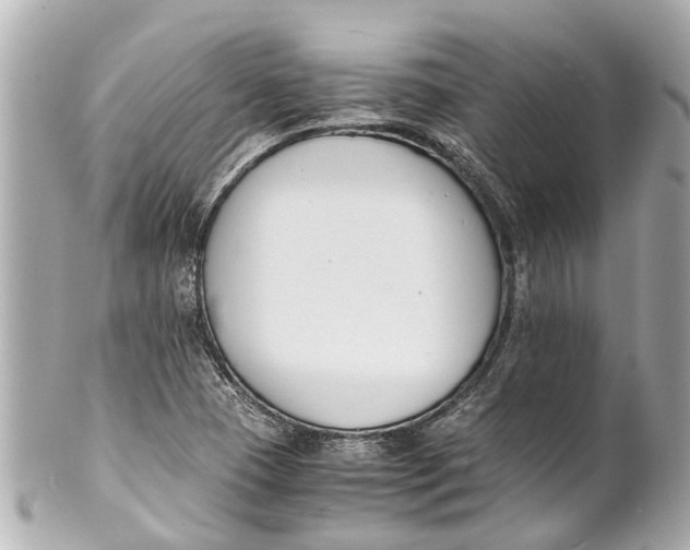 X0000101681409200807311509