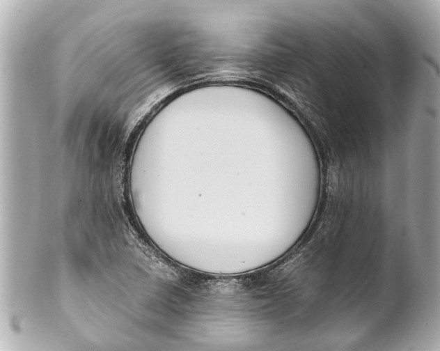 X0000101681410200807311509