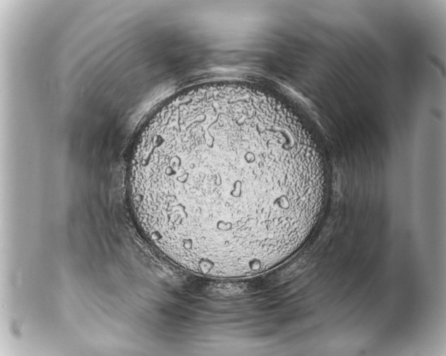 X0000101681411200807311509