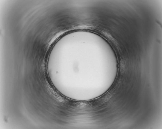 X0000101681412200807311509