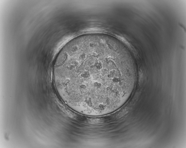 X0000101681413200807311509