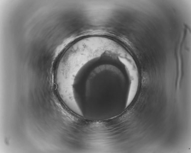 X0000101681414200807311509