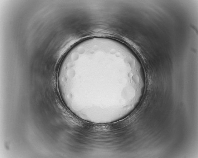 X0000101681415200807311509