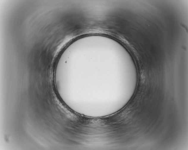 X0000101681416200807311509