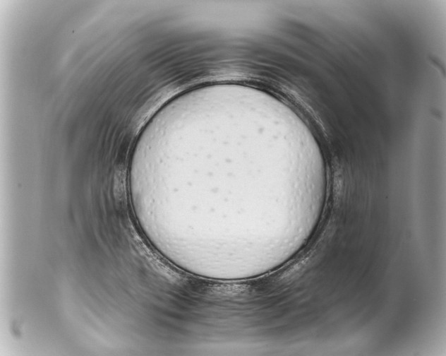 X0000101681417200807311509