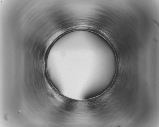 X0000101681418200807311509