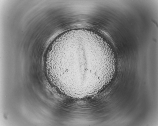 X0000101681419200807311509