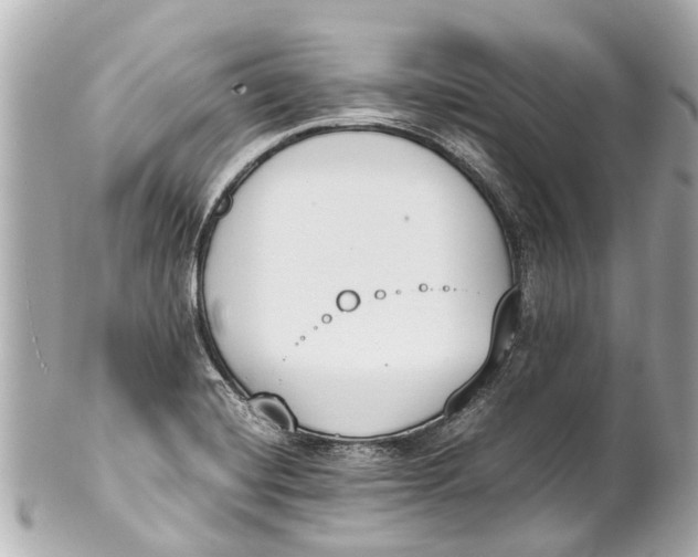 X0000101681420200807311509