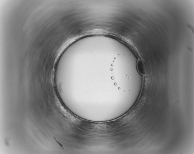 X0000101681421200807311509