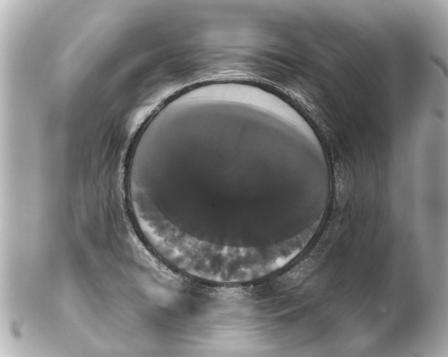 X0000101681422200807311509