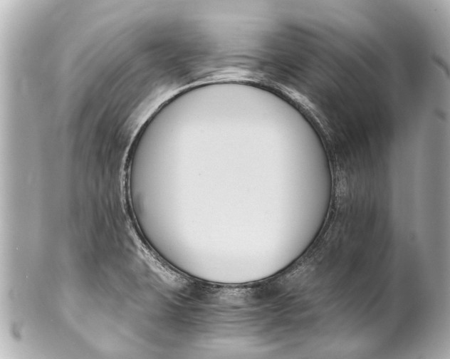 X0000101681423200807311509