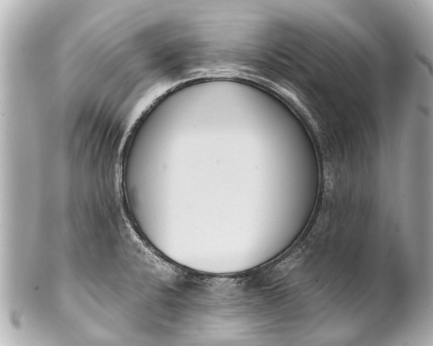 X0000101681424200807311509