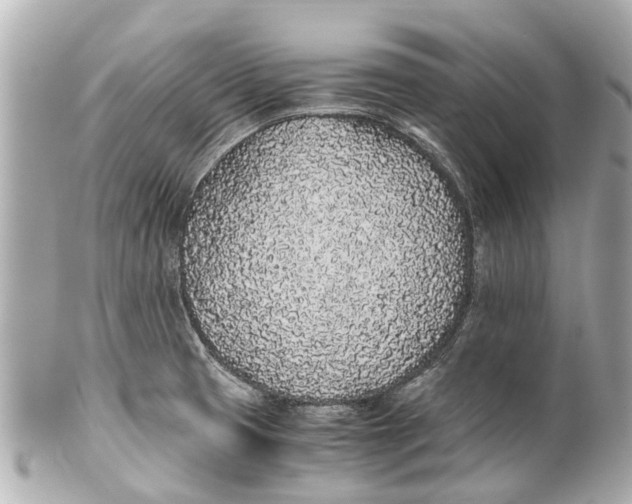 X0000101681425200807311509