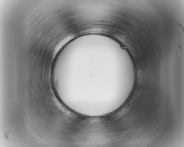 X0000101681426200807311509