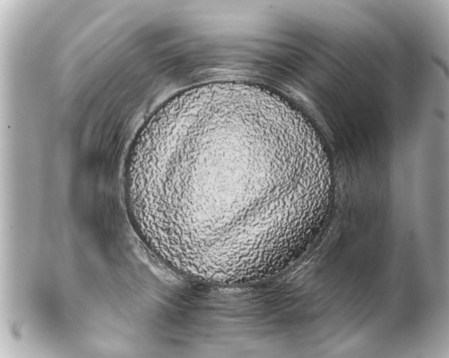 X0000101681427200807311509