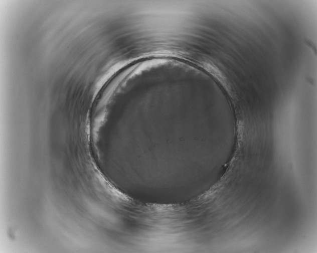 X0000101681428200807311509