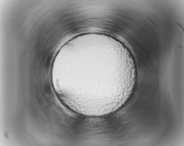 X0000101681429200807311509