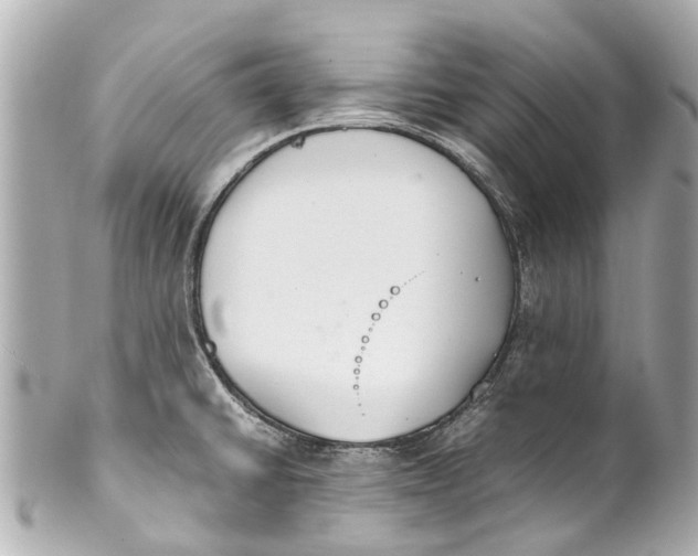 X0000101681430200807311509