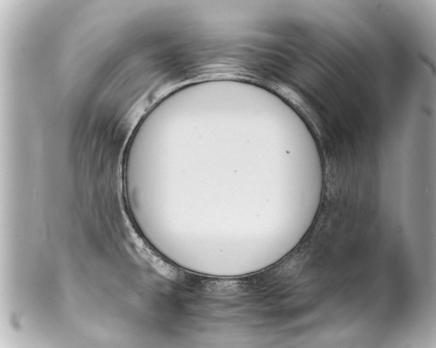 X0000101681431200807311509