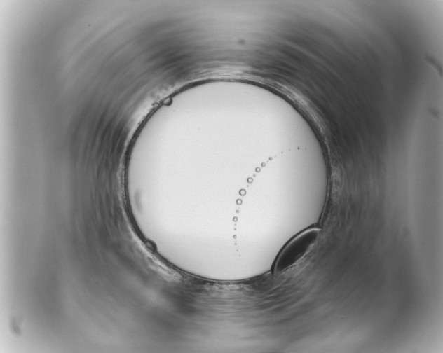 X0000101681432200807311509