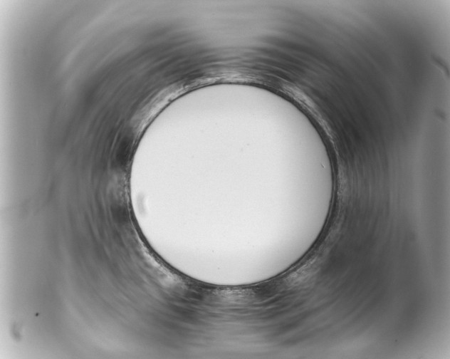 X0000101681433200807311509