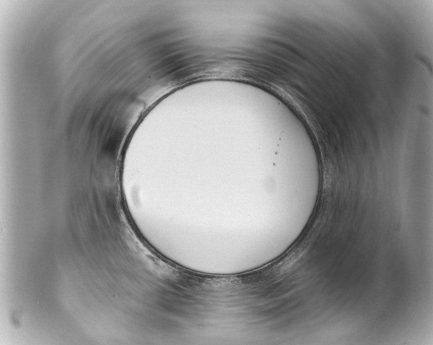 X0000101681434200807311509